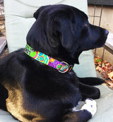 Walk-About Personalized Dog Collar