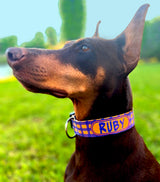 Halloween Plaid Purple & Orange Personalized Dog Collar