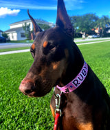 Patriotic Parade Pink Personalized Dog Collar
