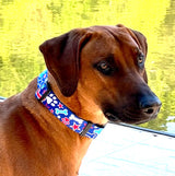 Patriotic Pup Dog Collar