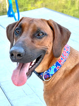 Patriotic Party Personalized Dog Collar