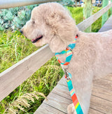 Seafoam & Coral Stripes Dog Collar