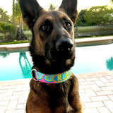 Waves in Pink/Aqua Personalized Dog Collar