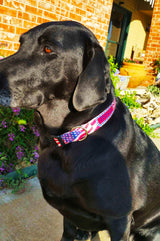 American Flag Personalized Dog Collar