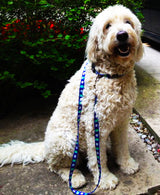 Mile Zero Blue Personalized Dog Collar