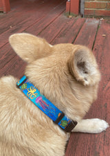 Sea Creatures Aqua Dog Collar