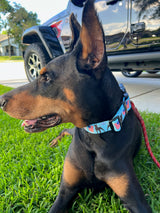 Patriotic Parade Blue Personalized Dog  Collar
