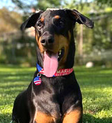American Flag Personalized Dog Collar