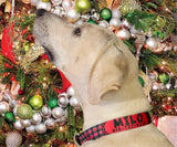 Christmas Buffalo Plaid Red Personalized Dog Collar