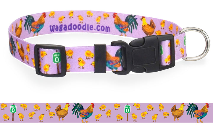 Key West Southernmost Chickens Lavendar Dog Collar