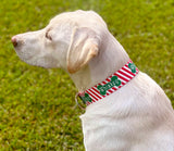 Bones & Stripes Christmas Dog Collar Personalized