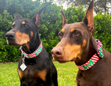 Bones & Stripes Christmas Dog Collar Personalized