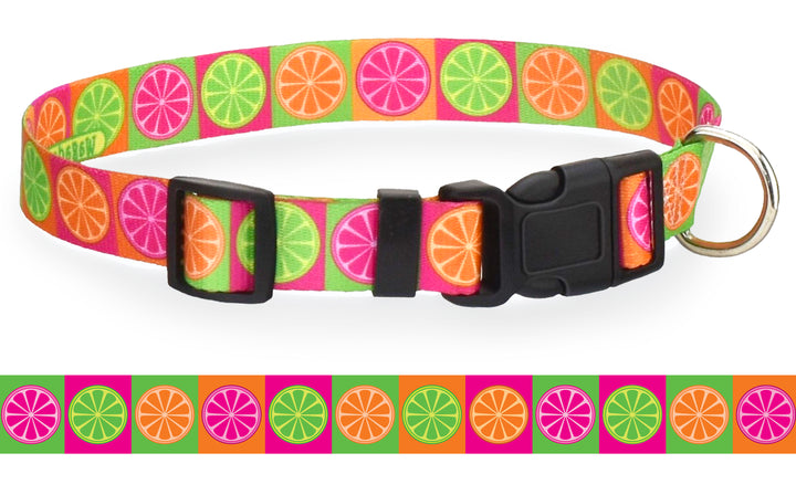 Citrus Blast Dog Collar