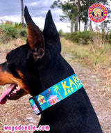 Key West Conch Houses, Bicycles, Palm Trees on Teal Personalized Dog Collar