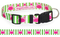 Pink & Lime Crab Personalized Dog Collar