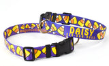 Halloween Candy Corn Personalized Dog Collar