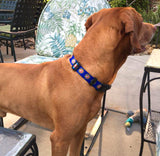 Conch Republic Blue Personalized Martingale Dog Collar