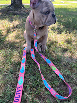 Scrummy Fish Coral Personalized Dog Collar