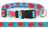 "Juicy Dog" Watermelon Dog Collar