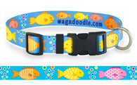 Scrummy Fish Turquoise Dog Collar