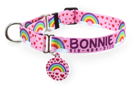 Rainbow Clouds Pink Personalized Martingale Dog Collar