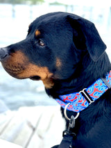 Red, White & Blue Flames Dog Collar Art