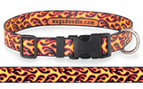 Red Hot Flames Dog Collar