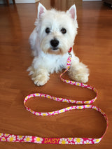 Daisy Pink Dog Collar Art