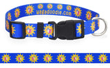 Key West Conch Republic Royal Blue Personalized Dog Collar