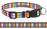 Key West Rainbow Picket Fence Dog Collar Art