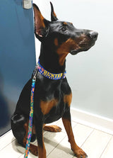 Geckos on Blue Personalized Dog Collar