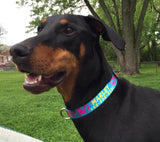 La Te Da  Turquoise Personalized Dog Collar