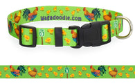 Key West Southernmost Chickens Lime Dog Collar