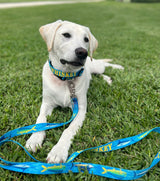 Mahi, Marlin and Sailfish Blue Personalized Martingale Dog Collar