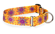 Flower Power Hippie Martingale Dog Collar