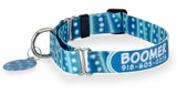 Whale Shark Personalized Dog Collar