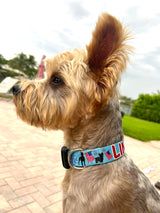Patriotic Parade Blue Personalized Dog  Collar