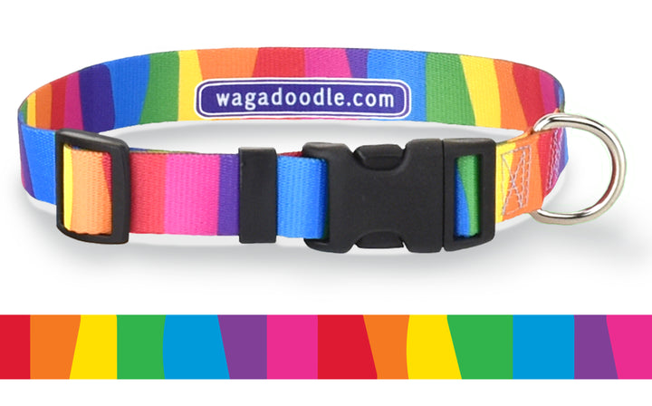 Rainbow Mod  Stripes Dog Collar