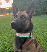 Waves Sea Foam & Coral Personalized Martingale Dog Collar