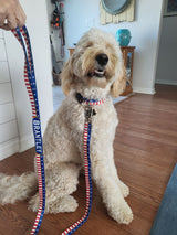 Patriotic Bars & Stars Flag Dog Collar