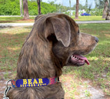 Dreamstime Personalized Dog Collar