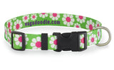 Daisy with Pink and Lime Personalized Dog Collar