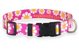 Daisy with Pink Personalized Dog Collar