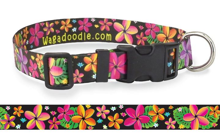 Frangipani Black Personalized Dog Collar