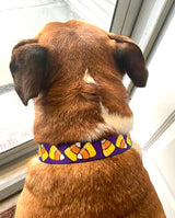 Halloween Candy Corn on Purple Dog Collar