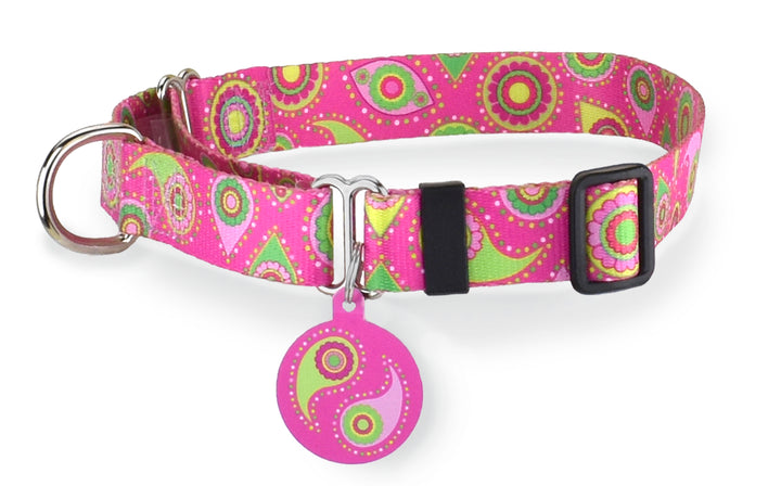 Puppy Pulitzer Pink Paisley Martingale Dog Collar
