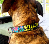 Passion Flower on Turqious Personalized Dog Collar