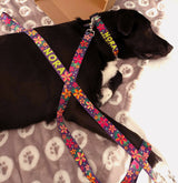 Frangipani Purple Personalized Dog Collar