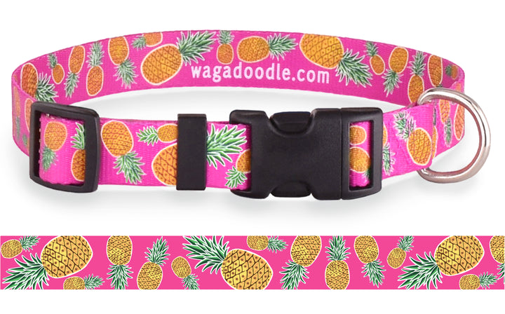 Pineapples on Pink Personalized Dog Collar