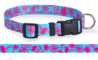 La Te Da  Turquoise Personalized Dog Collar